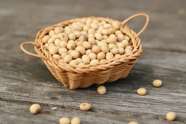 The soy bean. — Stock Photo, Image