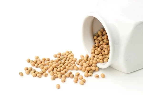 The soy bean. — Stock Photo, Image