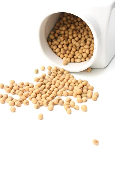 The soy bean. — Stock Photo, Image