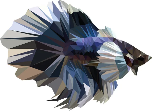 BETA balığı düşük Çokgen