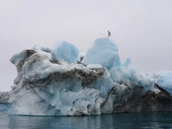 Iceberg Con Inclusioni Sporco Nel Godthaabsfjord Groenlandia — Foto Stock