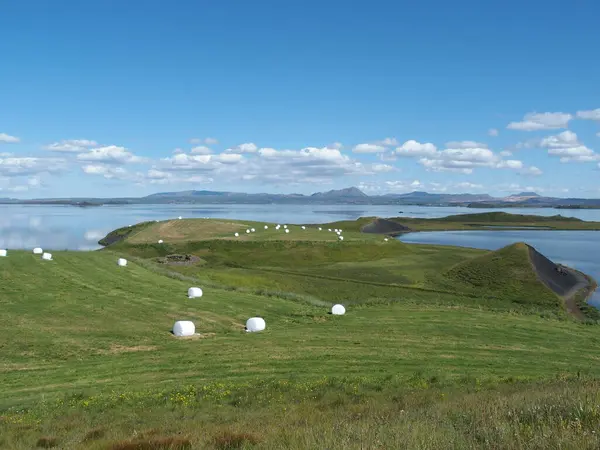 Lago Myvatn Los Prados Circundantes Forman Uno Los Paisajes Más — Foto de Stock