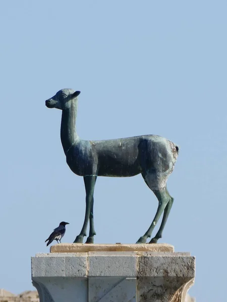 Die Hafeneinfahrt Des Mandraki Hafens Rhodos Stadt Rhodos Griechenland Wird — Stockfoto