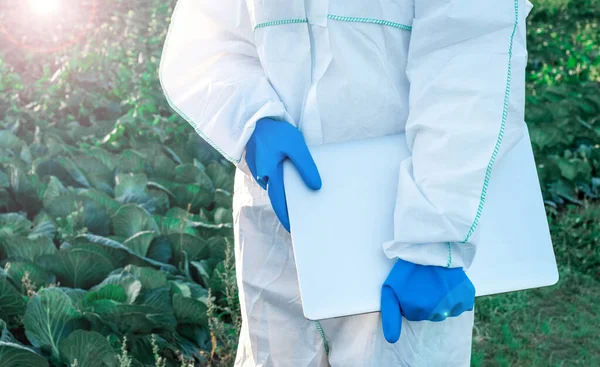 Agronomist Dressed White Protective Suit Blue Gloves Holds Laptop Field — Stock Photo, Image
