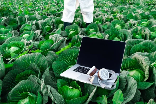 Offener Laptop Mit Chemischer Schutzmaske Liegt Auf Einem Feld Mit — Stockfoto