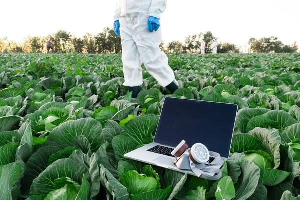보호용 마스크가 노트북이 들판에 떨어져 농학자 근처에서 양배추를 방호복을 과학자 — 스톡 사진