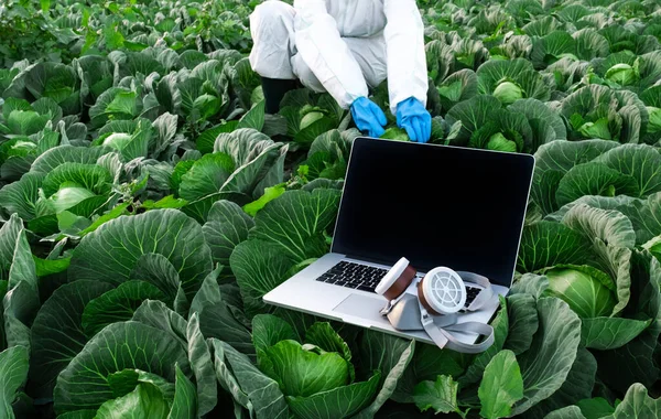 Laptop Abierto Con Máscara Química Protectora Encuentra Campo Con Cosecha — Foto de Stock