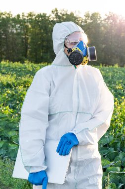 Beyaz koruyucu ekipman, kimyasal maske ve gözlük takan bilim adamları tarlada dizüstü bilgisayar kullanıyor..