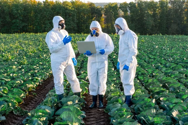 Scientist Agronomists Wearing White Protective Equipment Chemical Mask Glasses Use — Stock Photo, Image