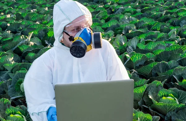 Scientist Wearing White Protective Equipment Chemical Mask Glasses Uses Laptop — Stock Photo, Image