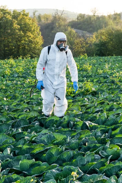 Agronomist Spraying Pesticide Field Harvest — Stock Photo, Image