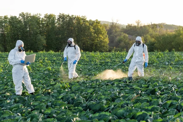 Farmers Agronomist Spraying Pesticide Field Harvest — Stock Photo, Image