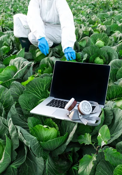 보호용 마스크가 노트북이 들판에 떨어져 농학자 근처에서 양배추를 방호복을 과학자 — 스톡 사진