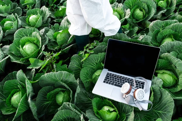 Otwarty Laptop Ochronną Maską Chemiczną Leży Polu Żniwami Kapusty Pobliżu — Zdjęcie stockowe