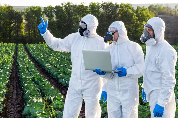 Scientist Agronomists Wearing White Protective Equipment Chemical Mask Glasses Use — Stock Photo, Image