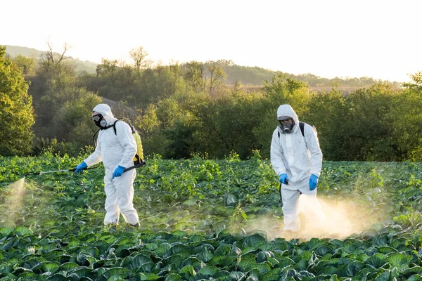 Farmer Agronomist Spraying Pesticide Field Harvest — Stock Photo, Image