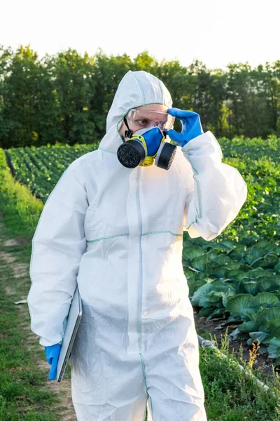 Scientist wearing a white protective equipment, chemical mask and glasses uses Laptop on farm field.