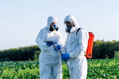Bilim adamı ve Agronomist beyaz koruyucu ekipman, kimyasal maske ve gözlük takarak tarlada dizüstü bilgisayar kullanıyorlar..