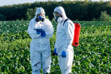 Bilim adamı ve Agronomist beyaz koruyucu ekipman, kimyasal maske ve gözlük takarak tarlada dizüstü bilgisayar kullanıyorlar..