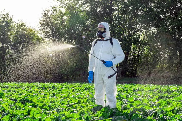 Agronomist Spraying Pesticide Field Harvest — Stock Photo, Image