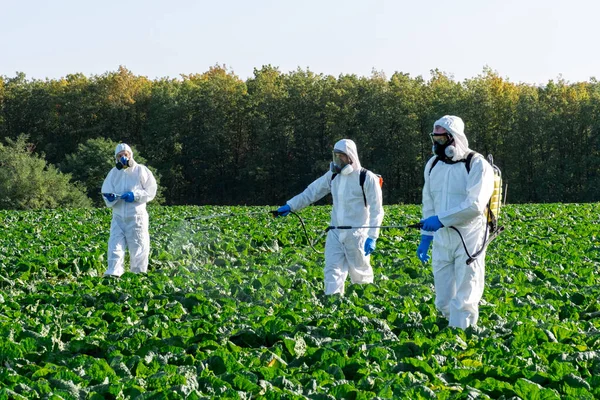 Farmers Agronomist Spraying Pesticide Field Harvest — Stock Photo, Image