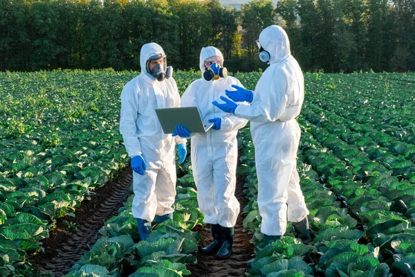 Scientist Agronomists Wearing White Protective Equipment Chemical Mask Glasses Use — Stock Photo, Image