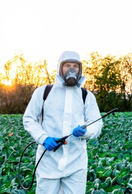 Çiftçi ve Agronomist tarlaya böcek ilacı püskürtüyor..