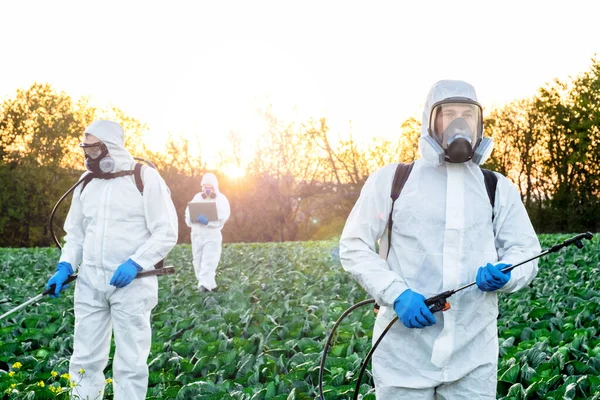 Farmer Agronomist Spraying Pesticide Field Harvest — Stock Photo, Image