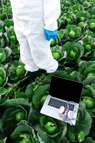 Open Laptop Protective Chemical Mask Lies Field Harvest Cabbage Agronomist — Stock Photo, Image