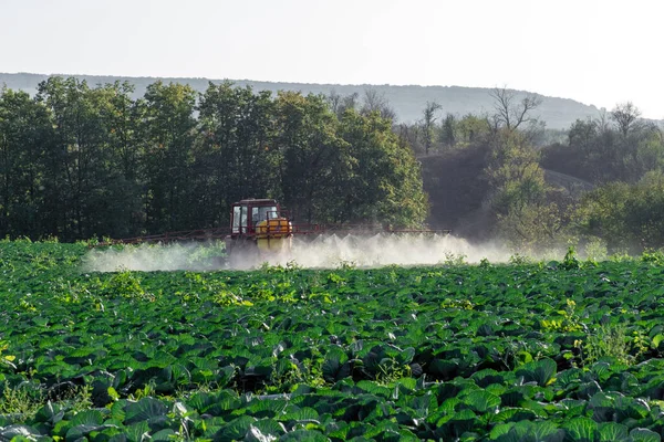 Traktor Menyemprotkan Kimia Dan Pesticides Ladang Pertanian Dengan Sayuran — Stok Foto