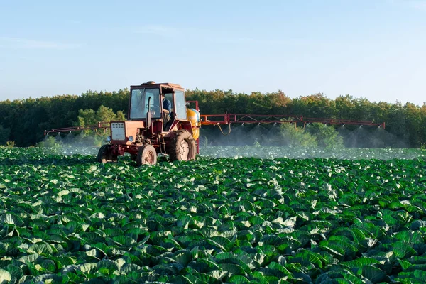 Traktor Menyemprotkan Kimia Dan Pesticides Ladang Pertanian Dengan Sayuran — Stok Foto