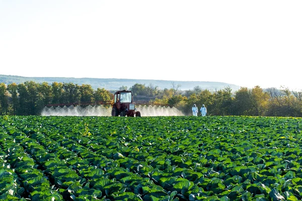 Трактор Распыляет Химию Пестициды Поле Фермы Овощами — стоковое фото