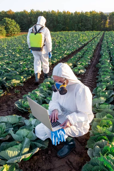 Scientist Wearing White Protective Equipment Chemical Mask Glasses Uses Laptop — Stock Photo, Image