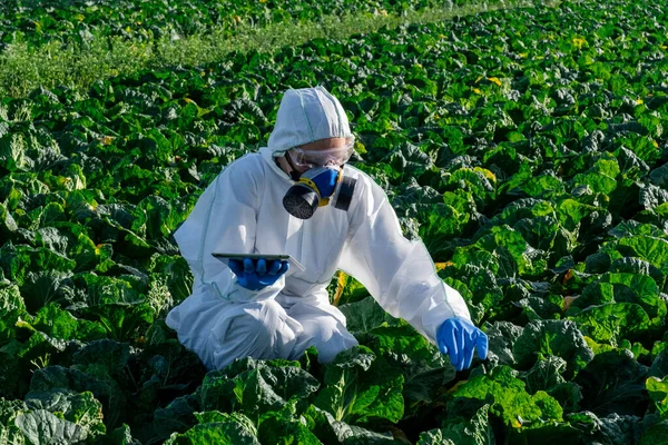 Naukowiec Noszący Biały Sprzęt Ochronny Maskę Chemiczną Okulary Używa Tabletu — Zdjęcie stockowe