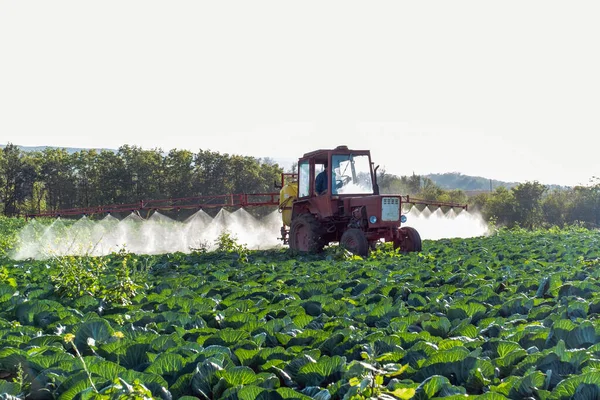 Traktor Menyemprotkan Kimia Dan Pesticides Ladang Pertanian Dengan Sayuran — Stok Foto