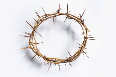 Beyaz arkaplanda taç dikenleri, üst görünüm.