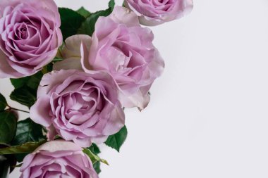 Beyaz arkaplanda Pembe güllerden bir buket, üst görünüm, kopyalama alanı.