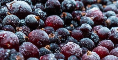 Bir sürü siyah ve pembe böğürtlen üzümü, kırağı ve buzu olan, üst manzara, yakın çekim..