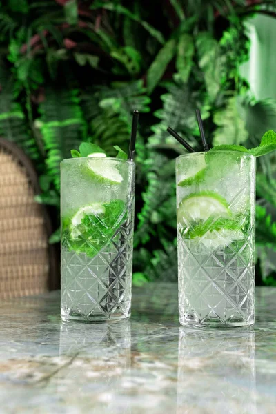 Coktail Gin Tonic Eller Mojito Glas Med Mynta Lime Tropiska — Stockfoto