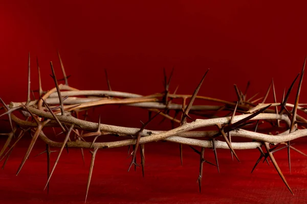 Close Up Crown thorns on the red background.