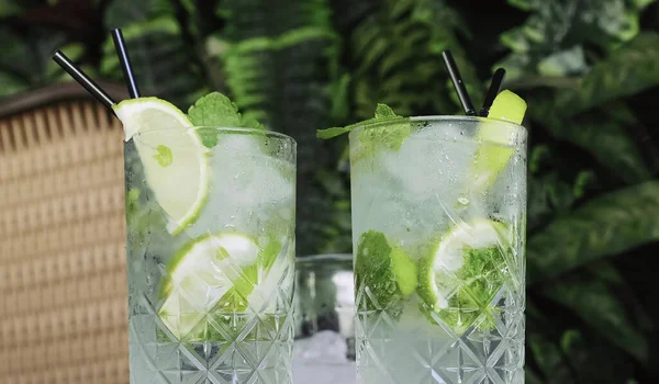 Hand Lägger Till Cocktails Gin Tonic Eller Mojito Med Gin — Stockfoto
