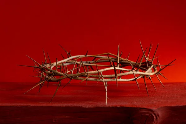 Close Up Crown thorns on the red background.