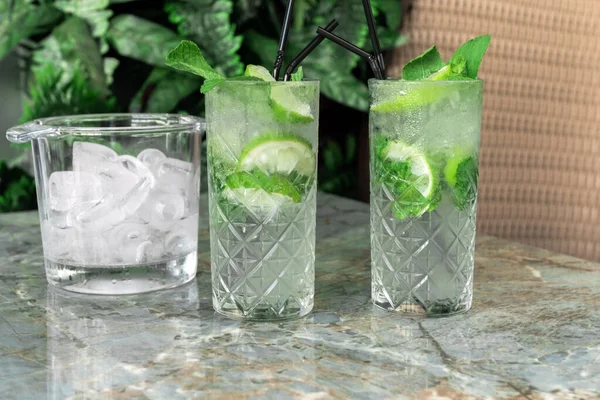Cocktail Gin Tonic Eller Mojito Glas Med Mynta Lime Tropiska — Stockfoto