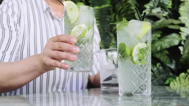 Person Drinks Cocktail Gin Tonic Mojito Gin Mint Ice Lime — 图库视频影像