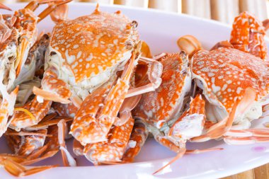 Buhar Yengeç Bistro deniz ürünleri için