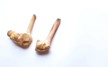 Yakın çekim ve üst manzara. Taze galangal Tayland bitkileri.