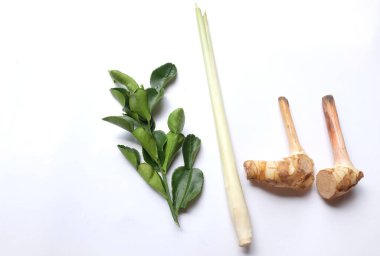 Yakın çekim ve üst manzara Taze galangal ve Kaffir limon yaprakları ve limon otu Tayland bitkileri