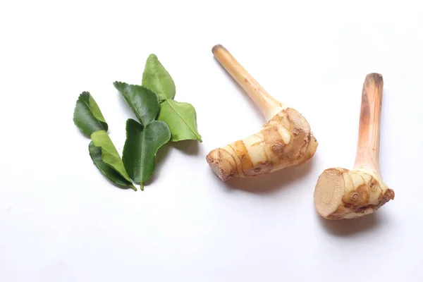 Plat Leggen Verse Galangal Kaffir Limoenbladeren Citroengras Thai Voedsel Kruiden — Stockfoto