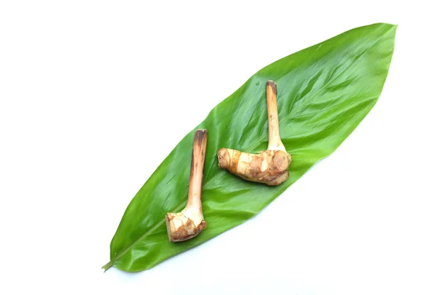 Close Vista Superior Folhas Frescas Galangal Thai Ervas Alimentares — Fotografia de Stock
