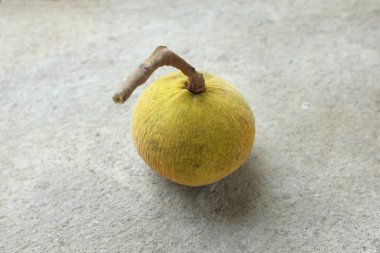 Taze olgun bir Santol veya Sentul meyvesi (Sandoricum koetjape) çimento zemininde izole edilmiş. Tayland 'ın tropikal meyveleri.